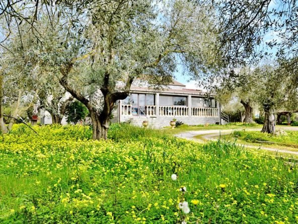 Villa indipendente con terreno e vista panoramica – in vendita San Quirico, Alghero
